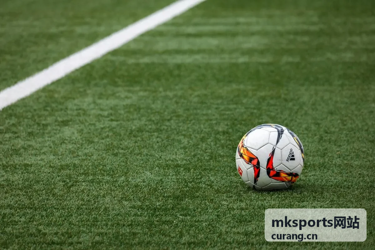 mksports网站足球联赛积分与赛程专题封面
